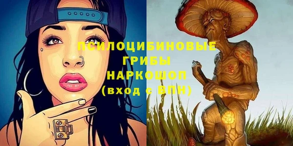 крисы Абдулино