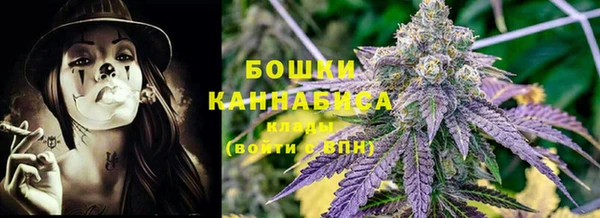крисы Абдулино