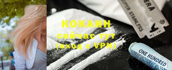 тгк Алексин