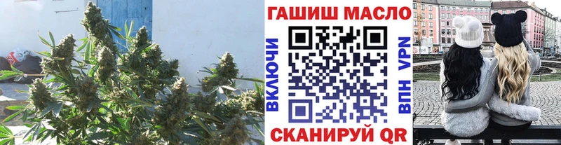 ТГК Wax Галич