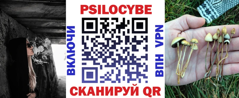 Псилоцибиновые грибы Magic Shrooms  маркетплейс Telegram  Галич 