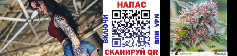 как найти наркотики  Галич  Конопля план 